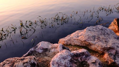 Rocks in sea