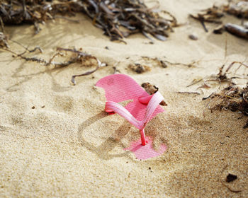 High angle view of stuffed toy on sand