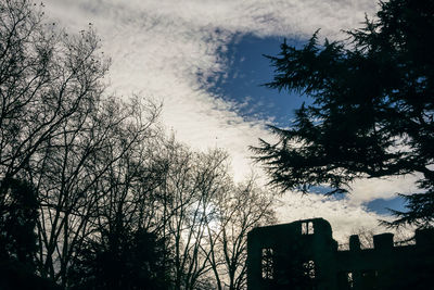 Low angle view of silhouette trees against sky