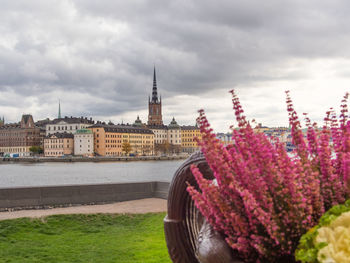 View of bridge over river in city