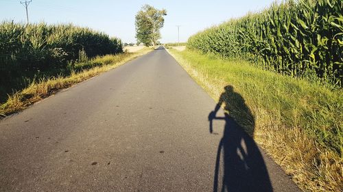 Shadow of person on road amidst trees