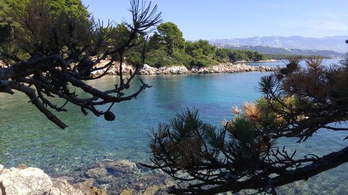 Scenic view of sea and trees against sky