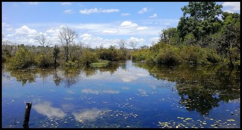 Reflection of trees in lake against sky