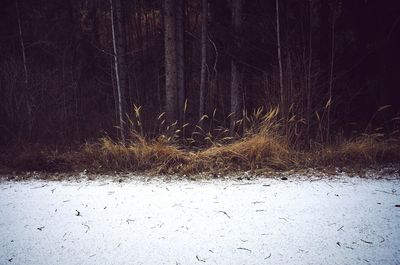 View of snow at night