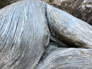 Close-up of wooden plank