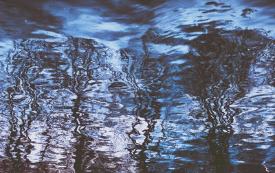 Full frame shot of trees by lake