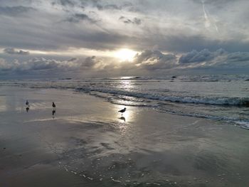 Scenic view of beach against sky during sunset