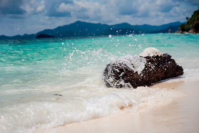 Splash of waters as the waves hit the drift log at the shore