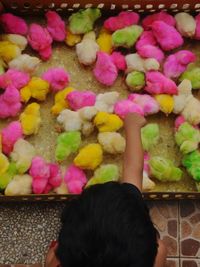 High angle view of woman with toy