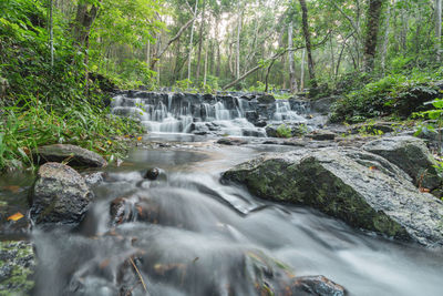 Scenic view of waterfall in forest