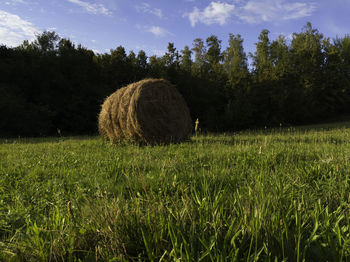 Hay bales on field against sky