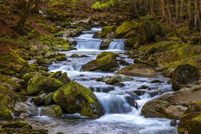 Scenic view of waterfall in forest