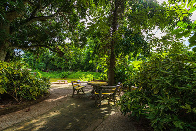 Empty chairs and table in park