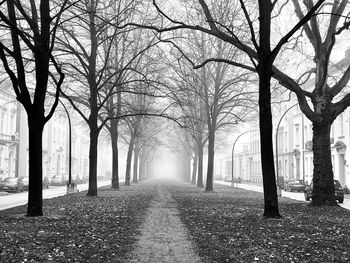 Road amidst trees during autumn