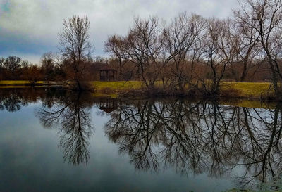 Reflection of bare trees in lake against sky
