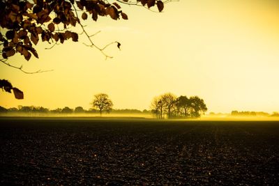 Scenic view of field against clear sky at sunset