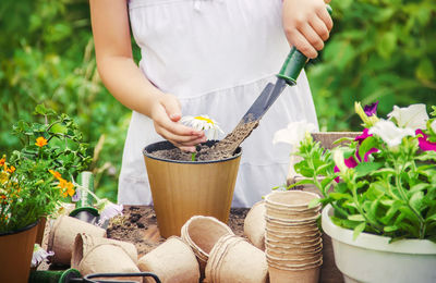 gardening