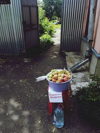 High angle view of fruits served on plant in yard against building