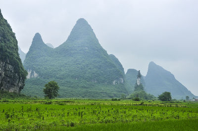 Scenic view of field and mountains against sky