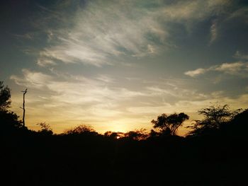 Silhouette trees against sky during sunset