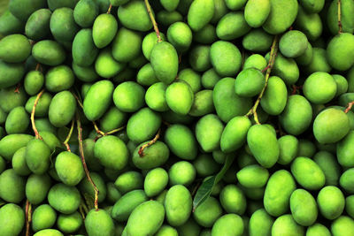 Full frame shot of green beans
