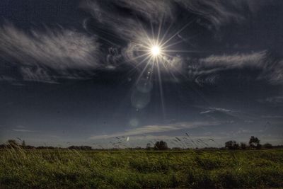 Scenic view of field against bright sun