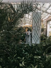 Plants growing in greenhouse