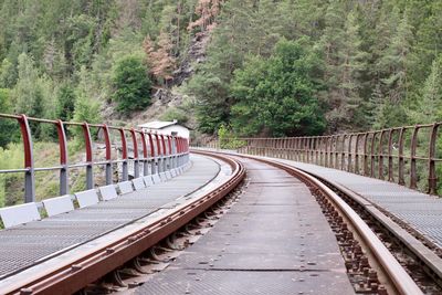 Railroad tracks in forest