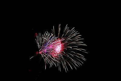 Low angle view of firework display at night