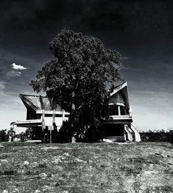 Abandoned house on field by tree against sky