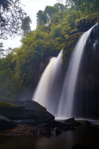 Scenic view of waterfall in forest