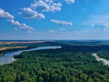 High angle view of trees on landscape against sky