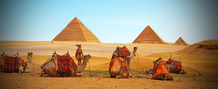 Panoramic view of tourists on desert against sky