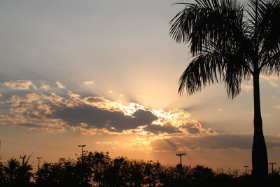 Low angle view of silhouette trees against sky during sunset