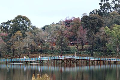 Scenic view of lake by trees against clear sky