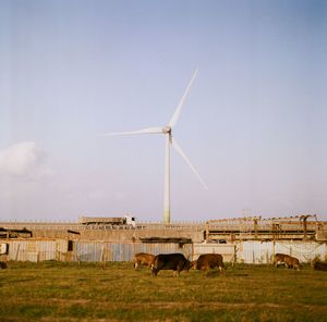 renewable energy