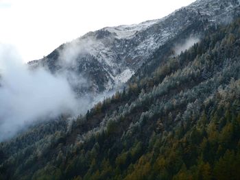 Scenic view of tree mountains against sky