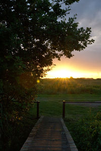 Scenic view of landscape against sky during sunset