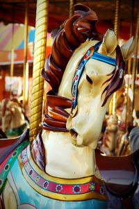 Close-up of plant against white background