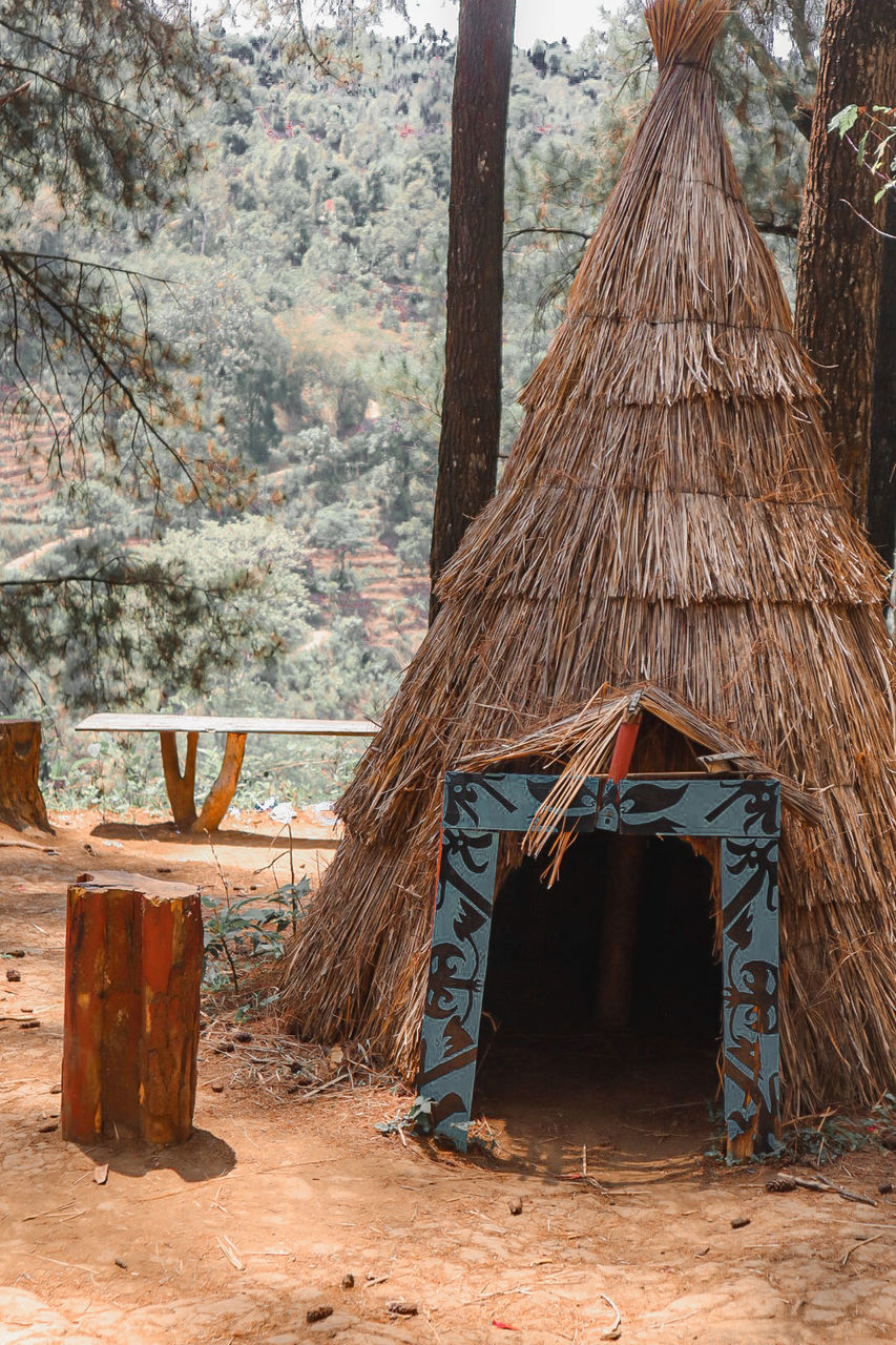 tree, wood - material, day, nature, forest, plant, hut, architecture, no people, land, built structure, wood, building, building exterior, outdoors, roof, mountain, tree trunk, tranquility, log