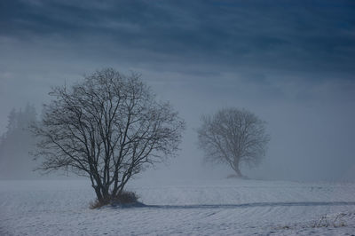 Bare tree on snow covered field against sky