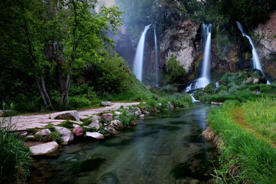 Scenic view of waterfall in forest