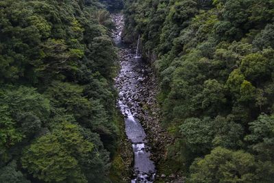 Birdseye, scenic view of waterfall and river in forest