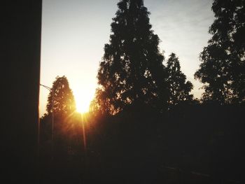 Silhouette trees against sky during sunset