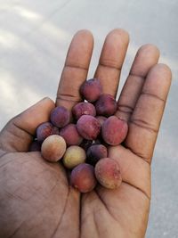 Close-up of hand holding strawberries