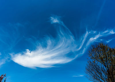 Low angle view of blue sky