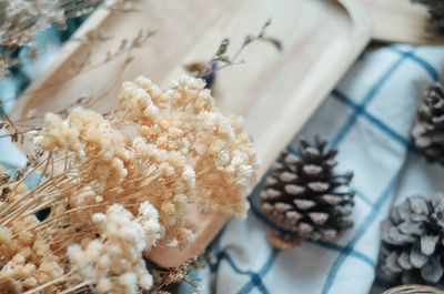 High angle view of white flowers for sale