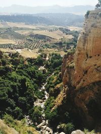 High angle view of trees on landscape