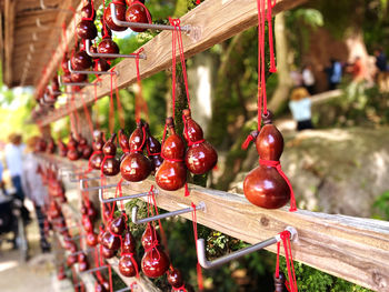 Close-up of christmas decorations