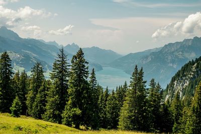 Scenic view of trees and mountains against sky